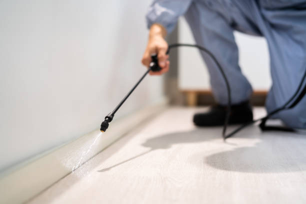 Licensed Mosquito Control service in Lacey, WA - Show Me Pest Control