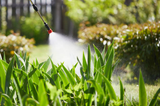 24/7 Emergency Mosquito Control experts in Lacey, WA