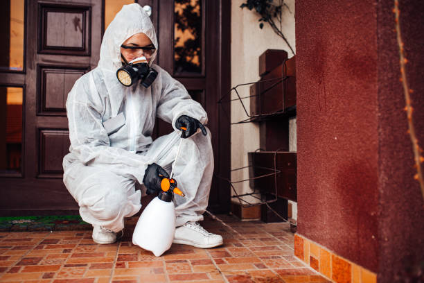 Reliable Mosquito Control contractor in Lacey, WA by Show Me Pest Control