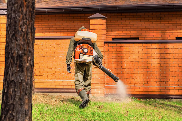 Top rated local Mosquito Control specialists in Lacey, WA